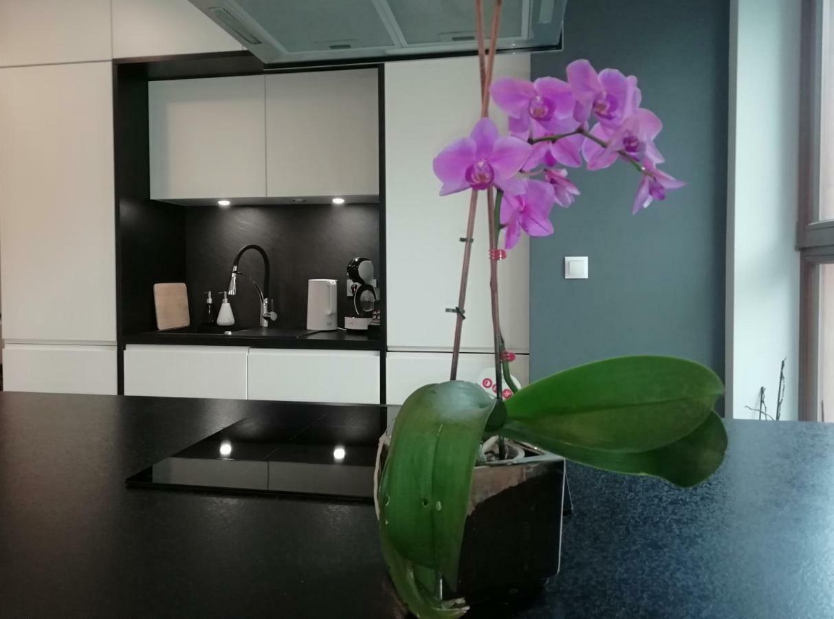 Woronicza Premium Apartman Varsó Kültér fotó
